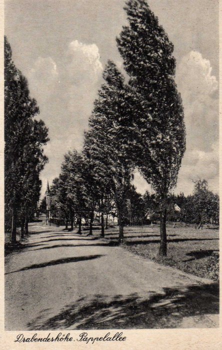 Drabenderhöhe - Pappelallee um 1935